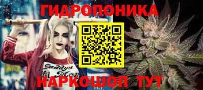 ешки Кандалакша