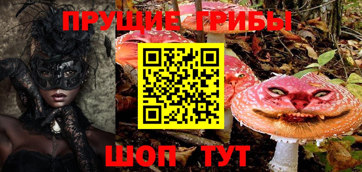 Псилоцибиновые грибы Psilocybine cubensis  Галлюциногенные грибы ЛСД  Людиново  Вход с VPN 